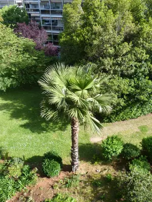 Jardin de l'établissement 10mm a pied des plages, appartement olympe climatisé