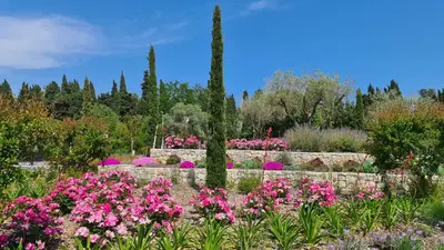 Jardin de l'établissement Casalionelantibes