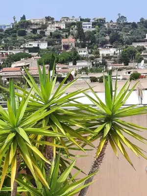 Paysage naturel près de l'appartement