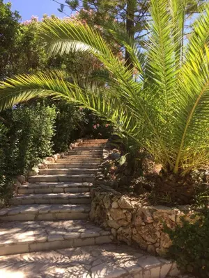 Jardin de l'établissement Quiet Private Garden Suite with Pool
