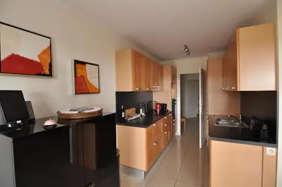 Cuisine ou kitchenette dans l'établissement Le Beauvert - StayInAntibes