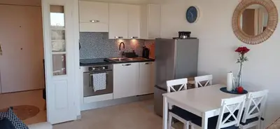 Cuisine ou kitchenette dans l'établissement Feels like home JUAN FLORE - Air-conditioned furnished apartment with terrace & parking