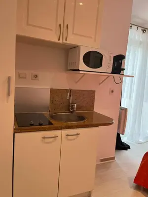 Cuisine ou kitchenette dans l'établissement STUDETTE Beausejour