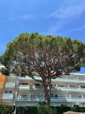 Bâtiment de l'appartement