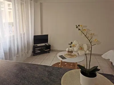 Télévision ou salle de divertissement dans l'établissement studio de 35m² entre antibes et juan les pins