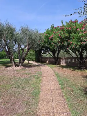 Jardin de l'établissement 80m2 dans Parc Classé, Piscine, Calme, 5mn de Cannes