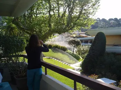 Jardin de l'établissement 80m2 dans Parc Classé, Piscine, Calme, 5mn de Cannes