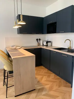 Cuisine ou kitchenette dans l'établissement Lumineux 2 pièces Vieil Antibes