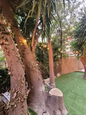 Jardin de l'établissement Parking privé + Jardin + Clim proche Plage & Resto