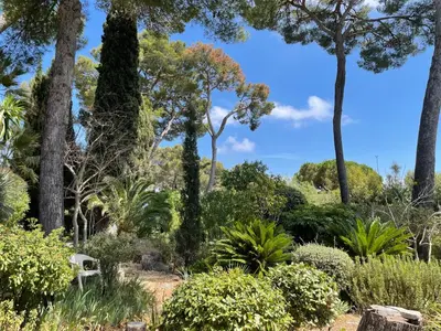 Jardin de l'établissement Rez-de-chaussée dans grand jardin provençal, à la villa Tatiana