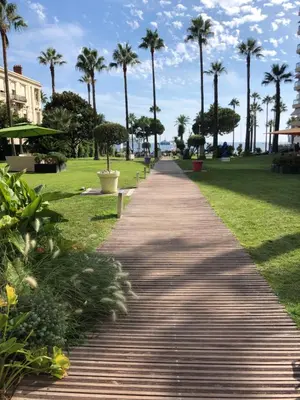 Jardin de l'établissement Studio Cannes Grand Hôtel Eider
