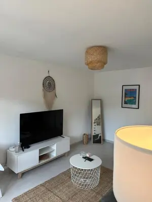 Télévision ou salle de divertissement dans l'établissement Spacieux studio à Golfe Juan 2 minutes des plages