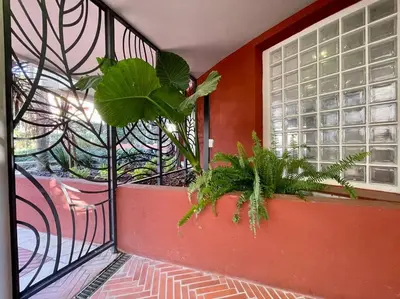 Jardin de l'établissement 2 pièces près de la Croisette