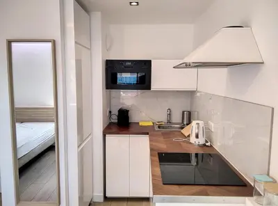 Cuisine ou kitchenette dans l'établissement Résidence Graziella Studio 511