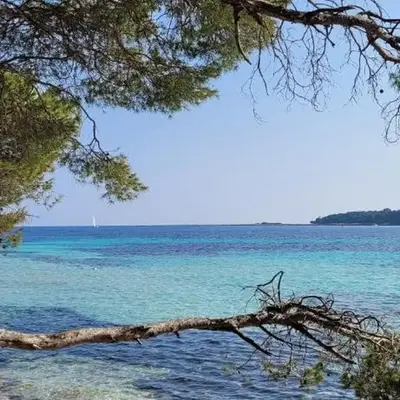 Les Grenadines du samedi au samedi