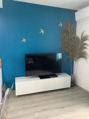 Télévision ou salle de divertissement dans l'établissement Appartement Etat neuf La Chantalane -proche centre-ville
